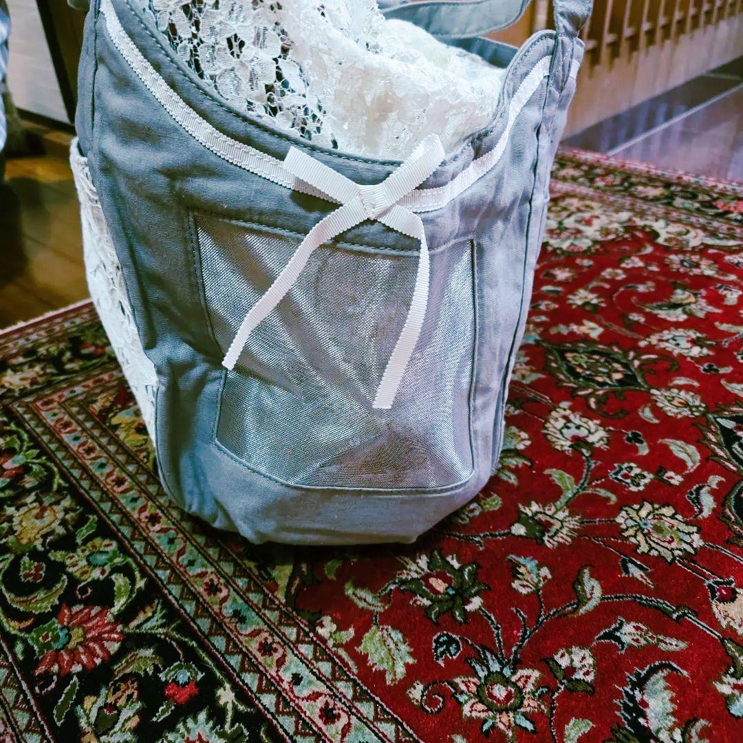 ✨新品未使用✨Luxe Birdie 高級ペットキャリー L 超軽量 希少 通気