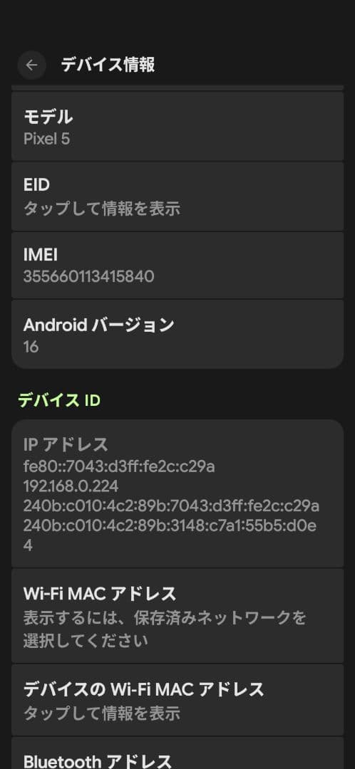 Google pixel5 Evolution X ソータ simフリー