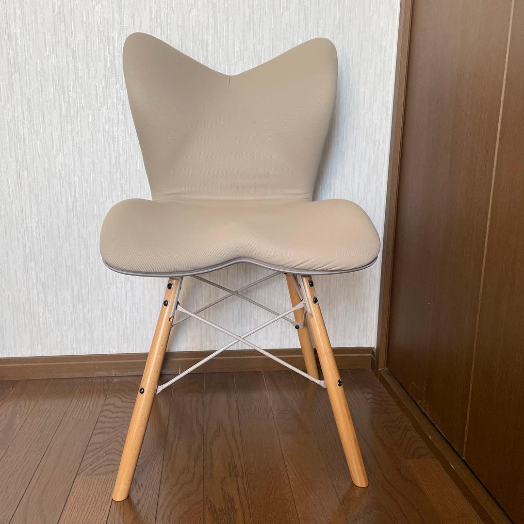 Style Chair PM （スタイルチェア ピーエム）/MTG