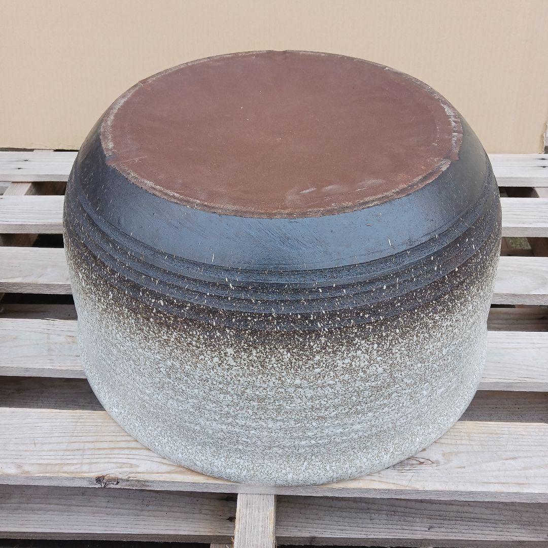 新品　∅51　陶器　睡蓮鉢　特大　難有　メダカ鉢　白　ホワイト　ルーバー　LWH