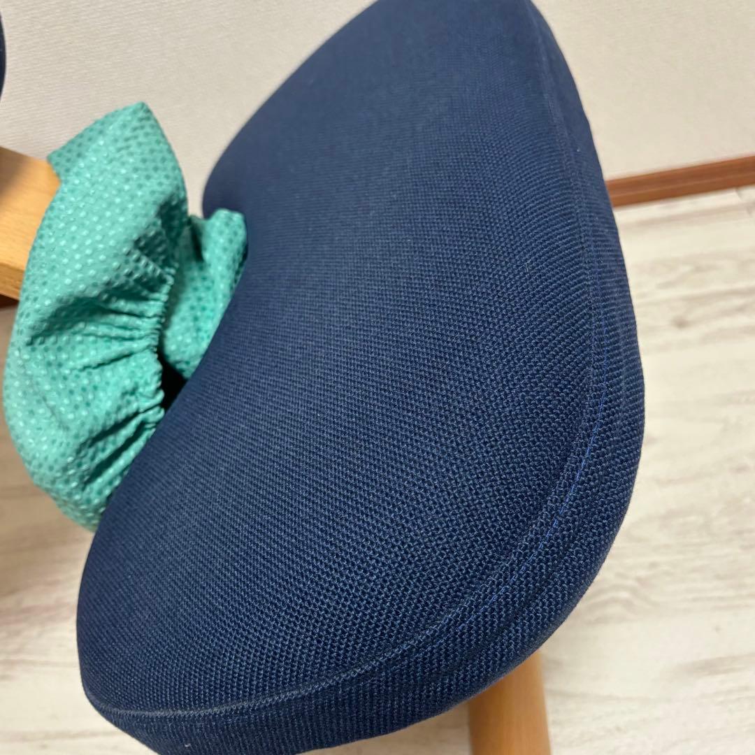 専用　サカモトハウス バランスイージー バランスラボ