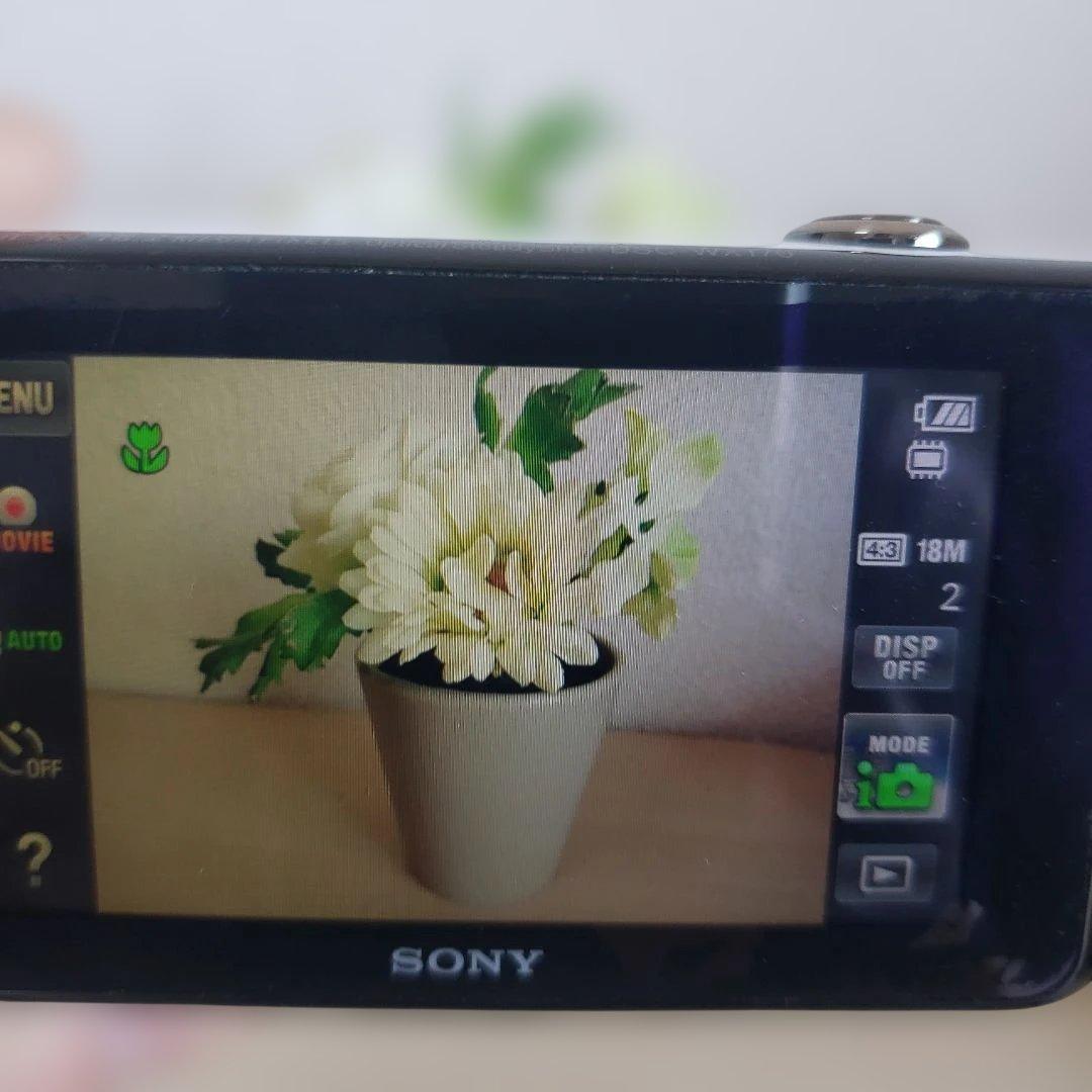 SONY Cyber-DSC-WX170　ホワイト デジタルカメラ