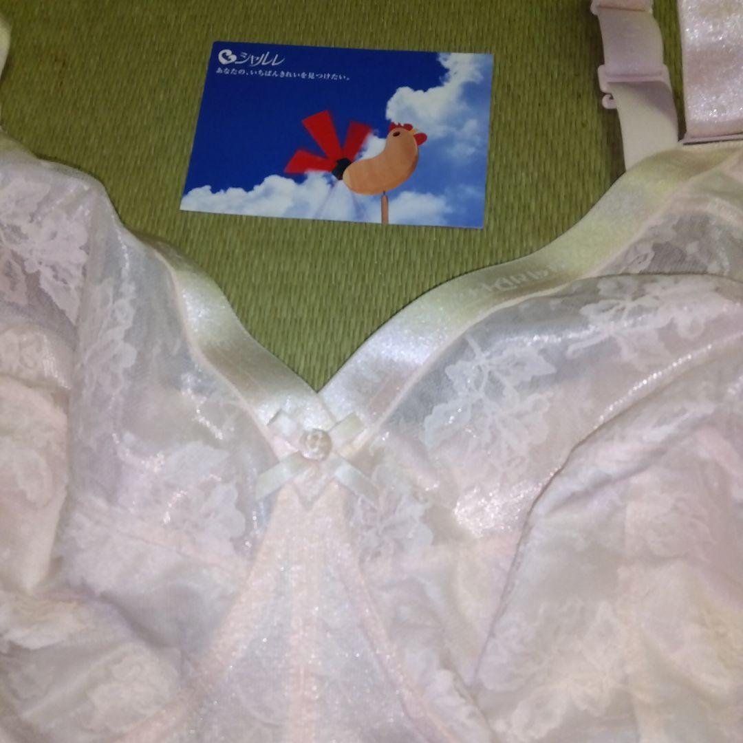 ブラジャー、１００