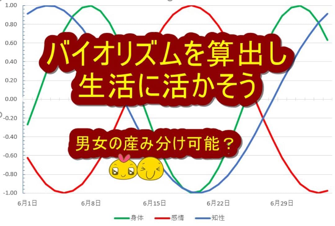 【限定残り1個！】政木式バイオリズム計　赤　　政木和三　占い　運勢　産み分け