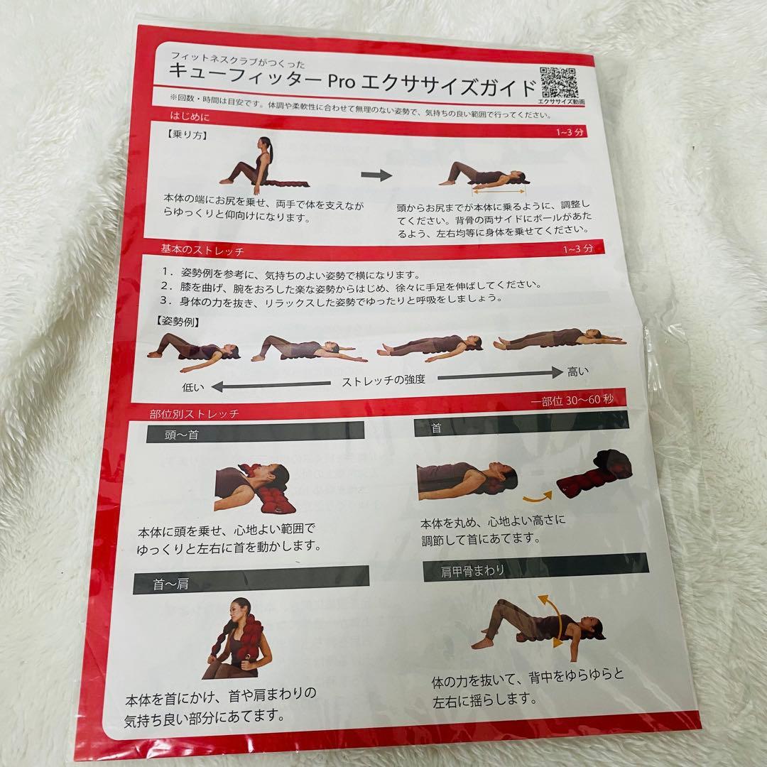 ⭐︎美品⭐︎キューフィッターPro