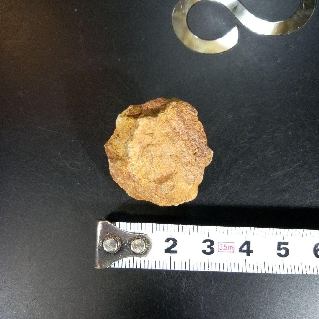 三葉虫　化石　fossil　海　ボリビア産　trilobite　レア　化石№⑤